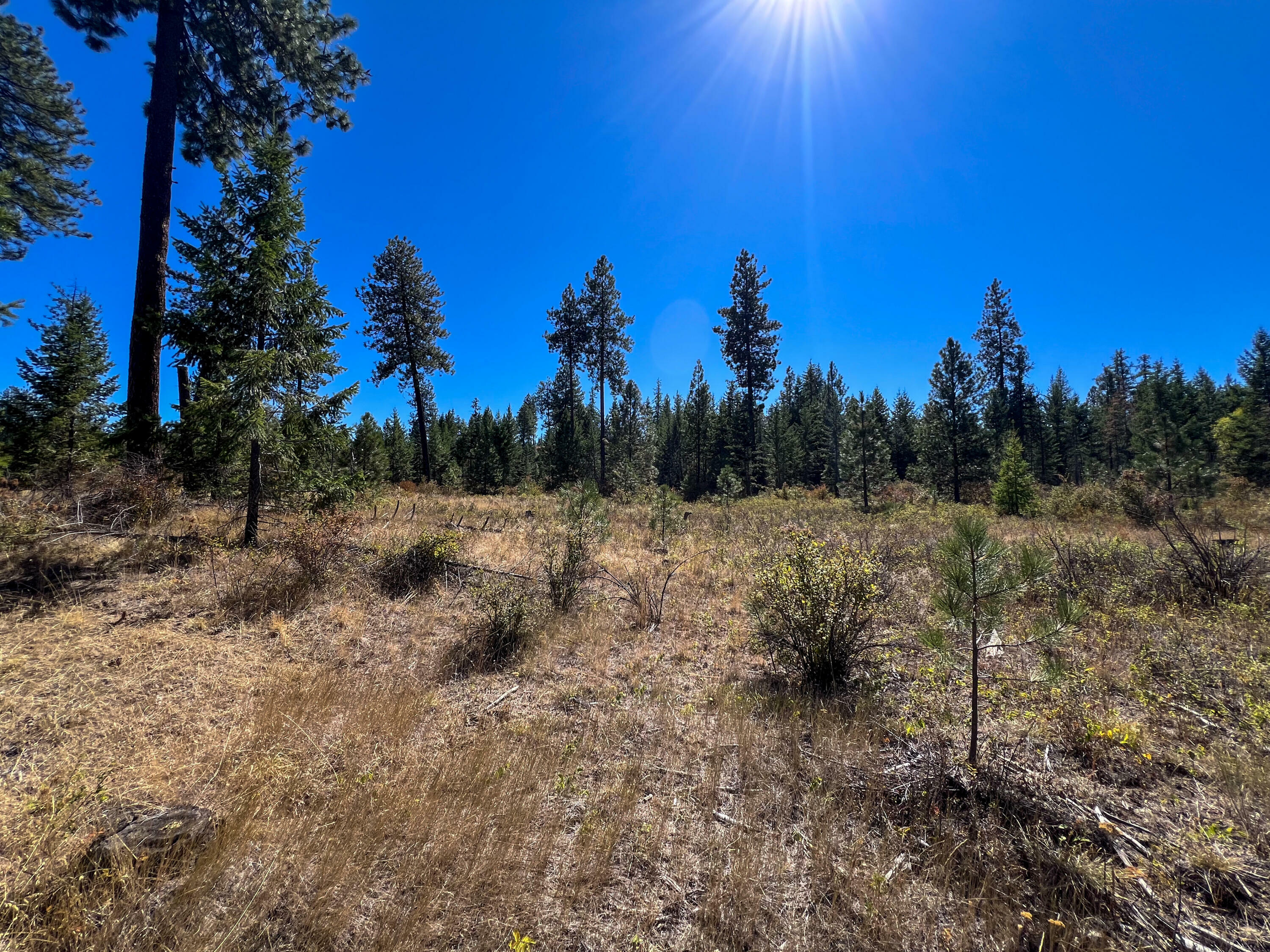 Property Photo:  52xx Lot 3 S Swenson Rd  WA 99006 