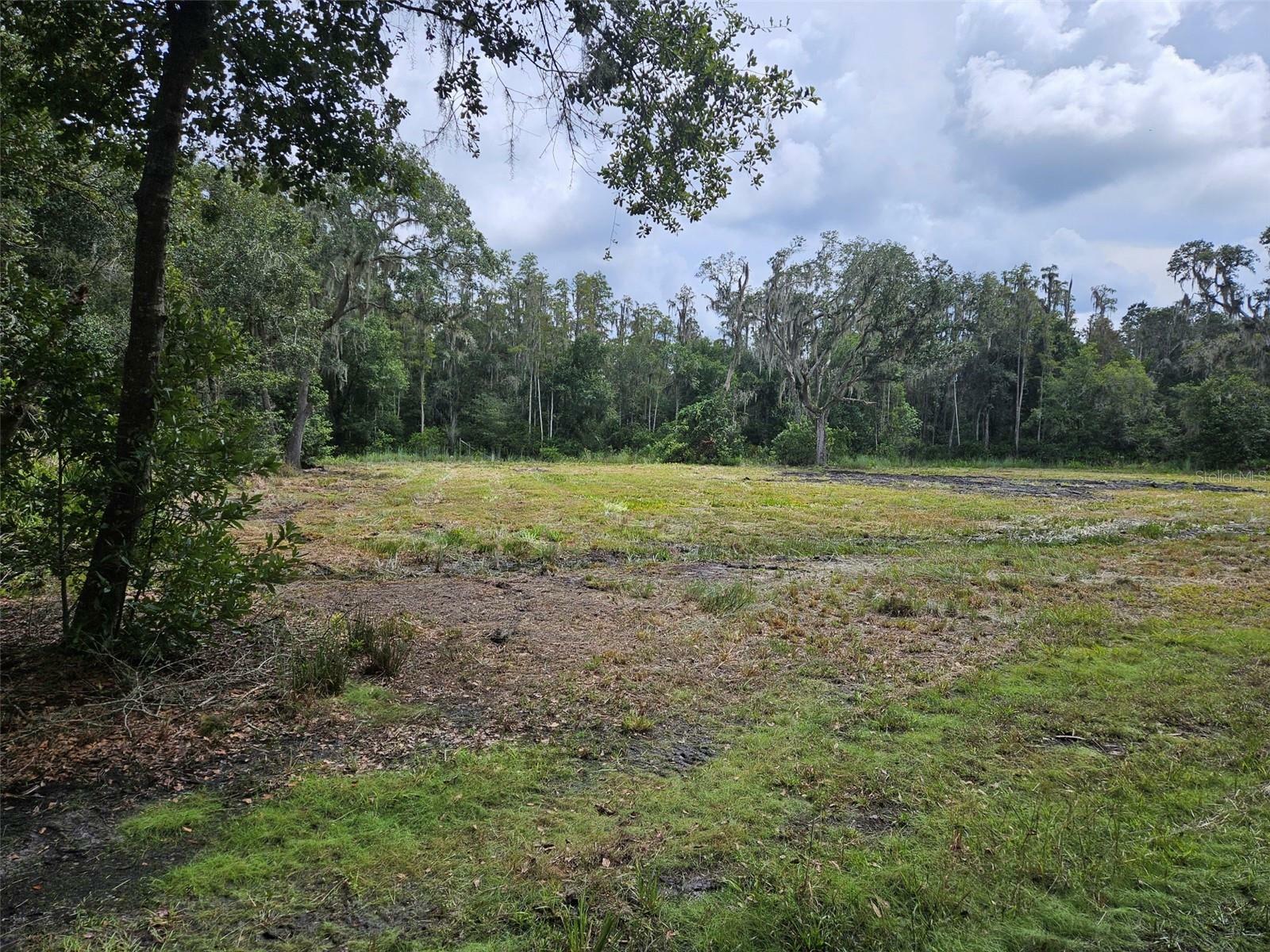 Property Photo:  Candis Rd.  FL 33565 