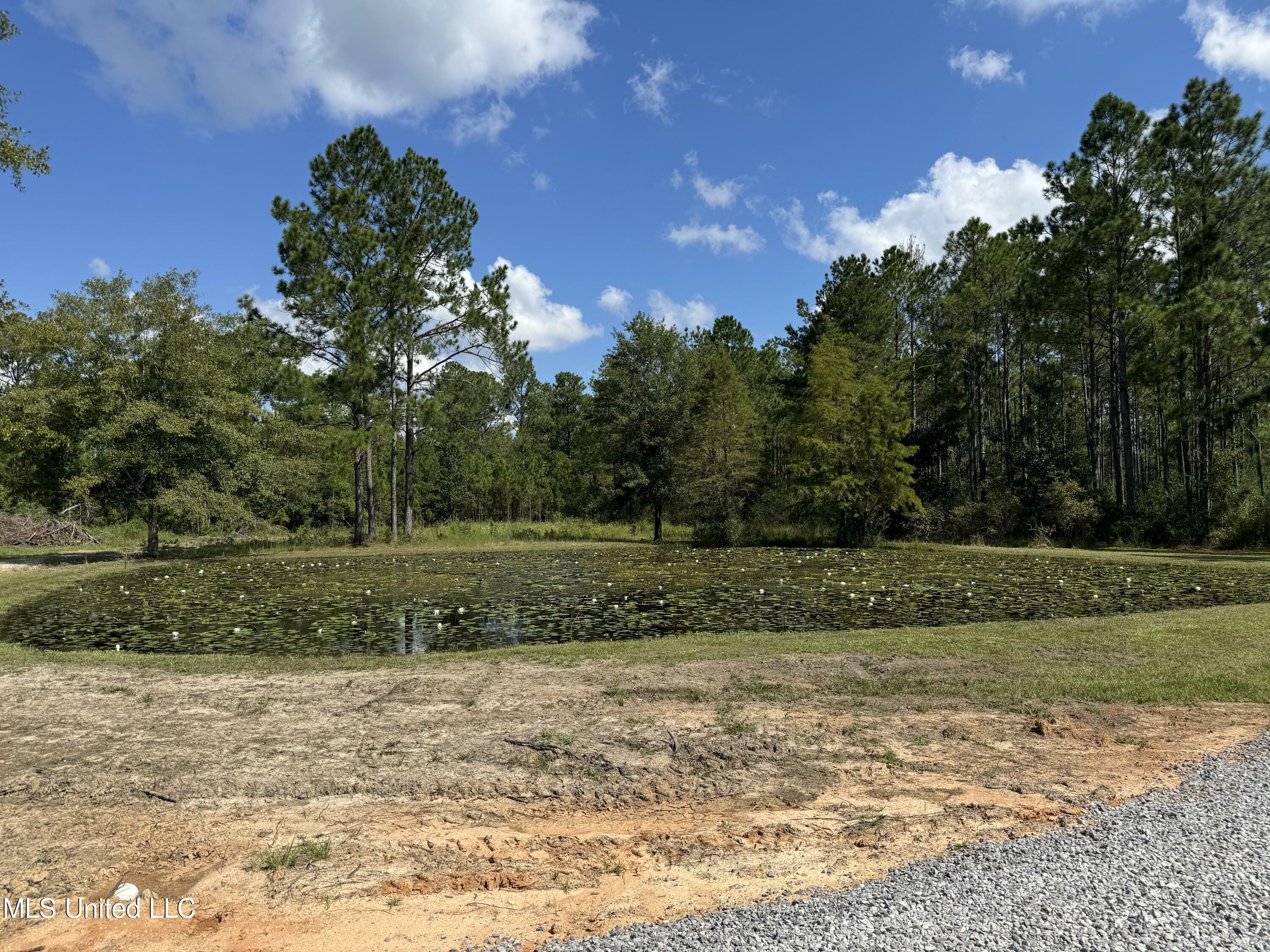 Property Photo:  72 Dickerson Road  MS 39466 