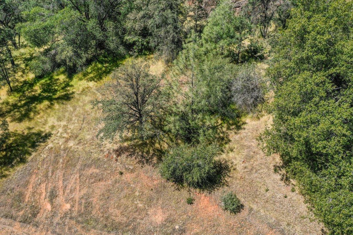 Property Photo:  0 Lot 29 Township  CA 95918 