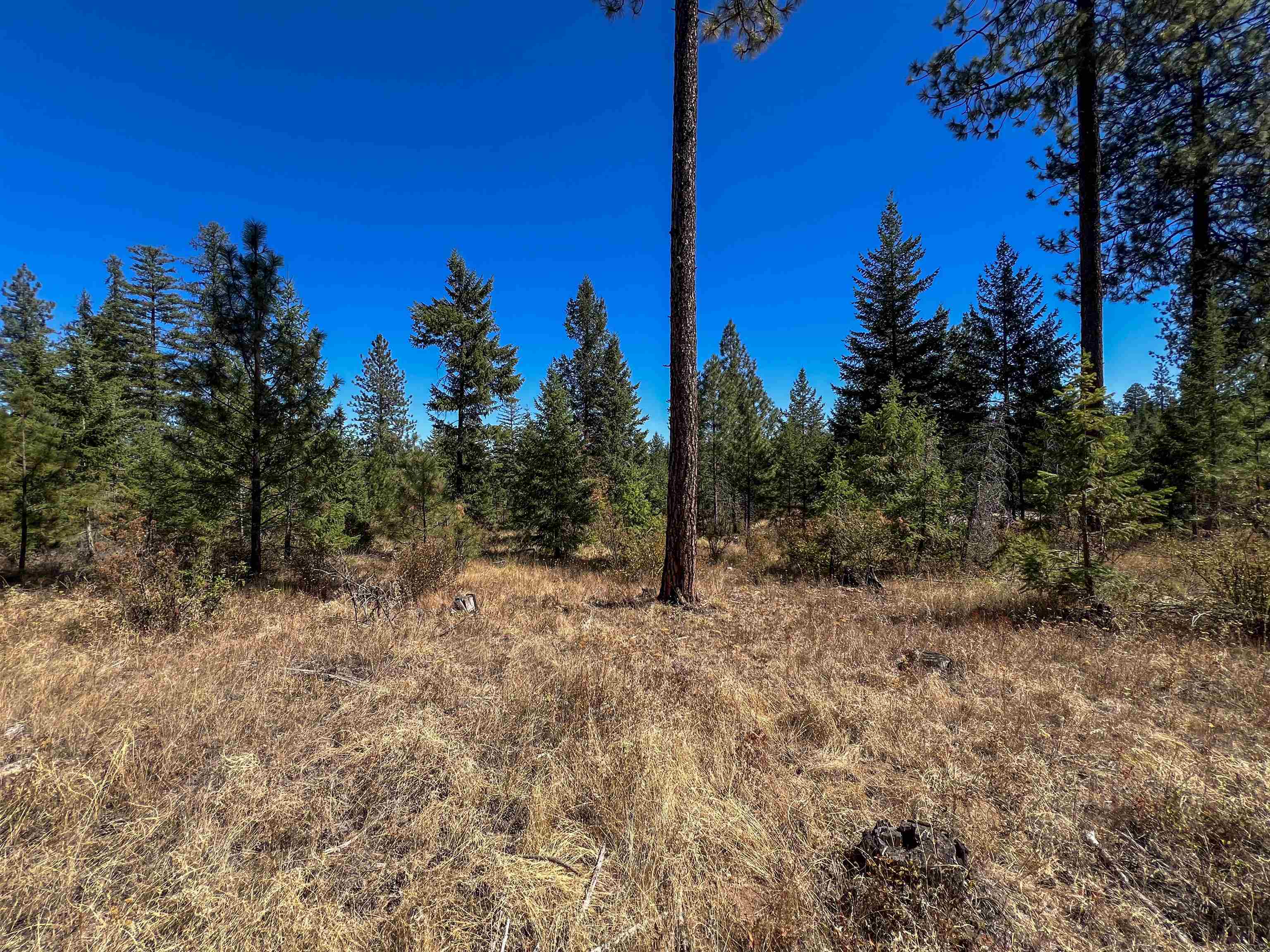 Property Photo:  52xx Lot 4 Swenson Rd  WA 99006 