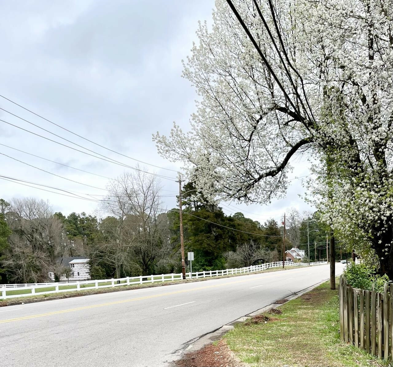 Property Photo:  00 Oxford Rd/Southern Ave Road  NC 27536 