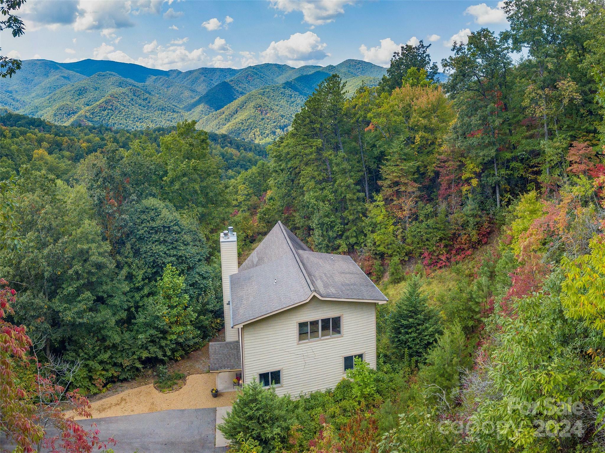 Property Photo:  1159 Mount Chalet Road  NC 28716 