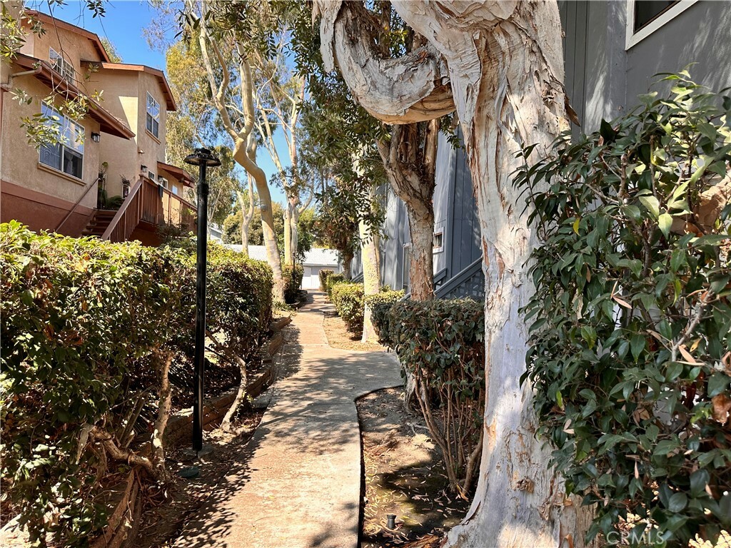 Property Photo:  32221 Alipaz Street 102  CA 92675 