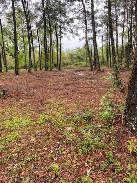 Lot #3 Hart Road  Hammond LA 70401 photo