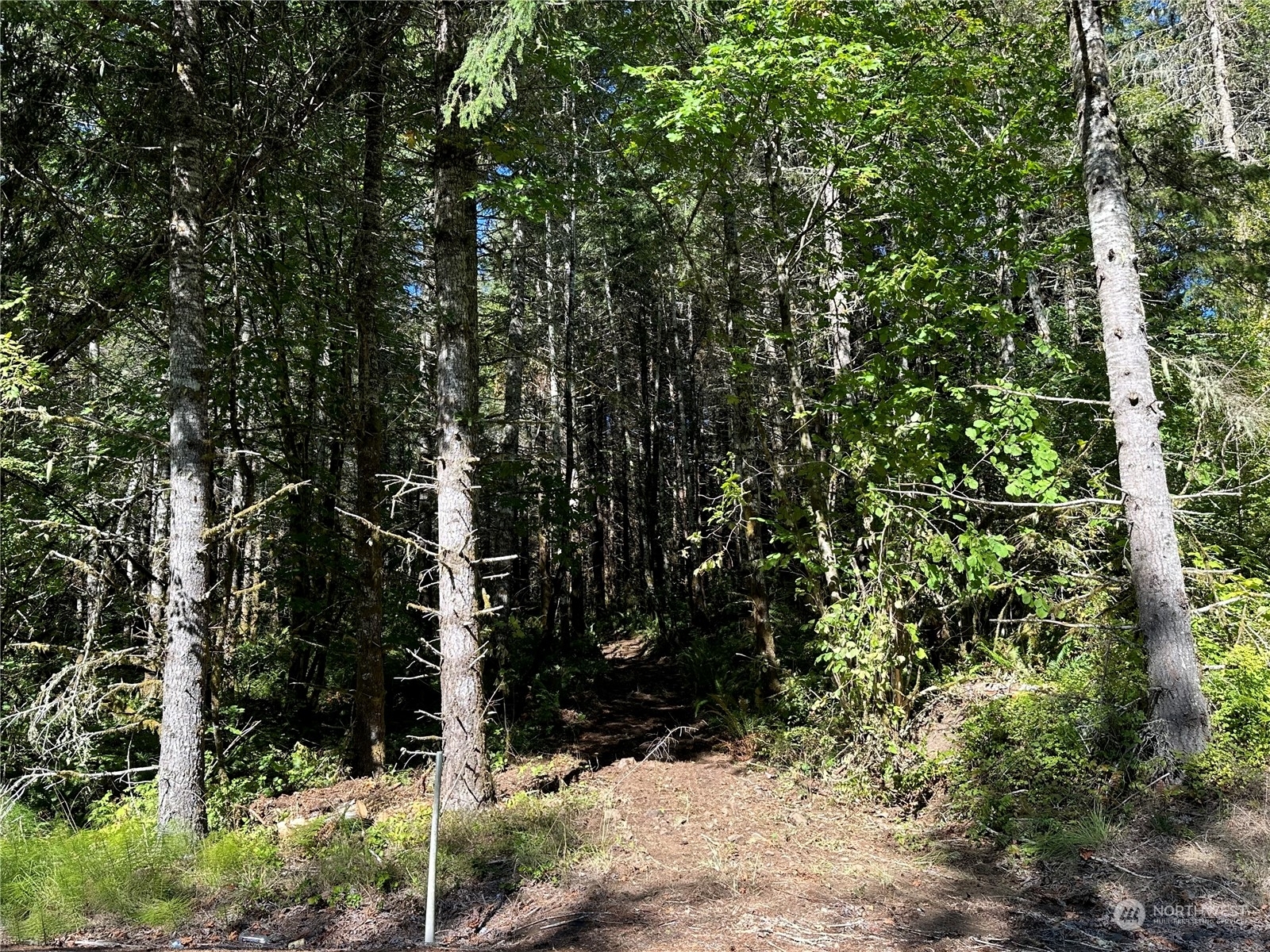 Property Photo:  0 Lincoln Creek Road  WA 98579 