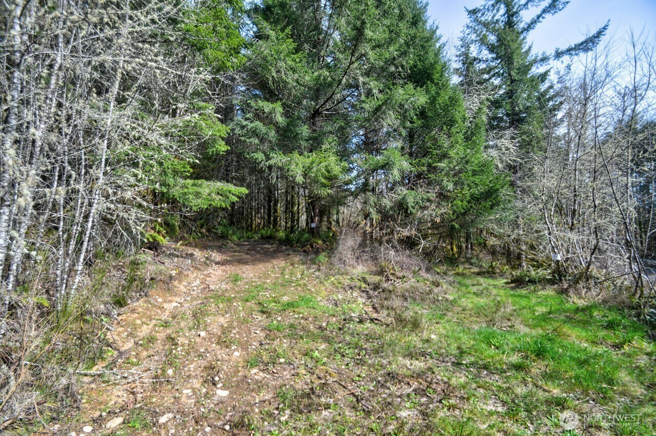 Property Photo: 0 Lincoln Creek Road WA 98579