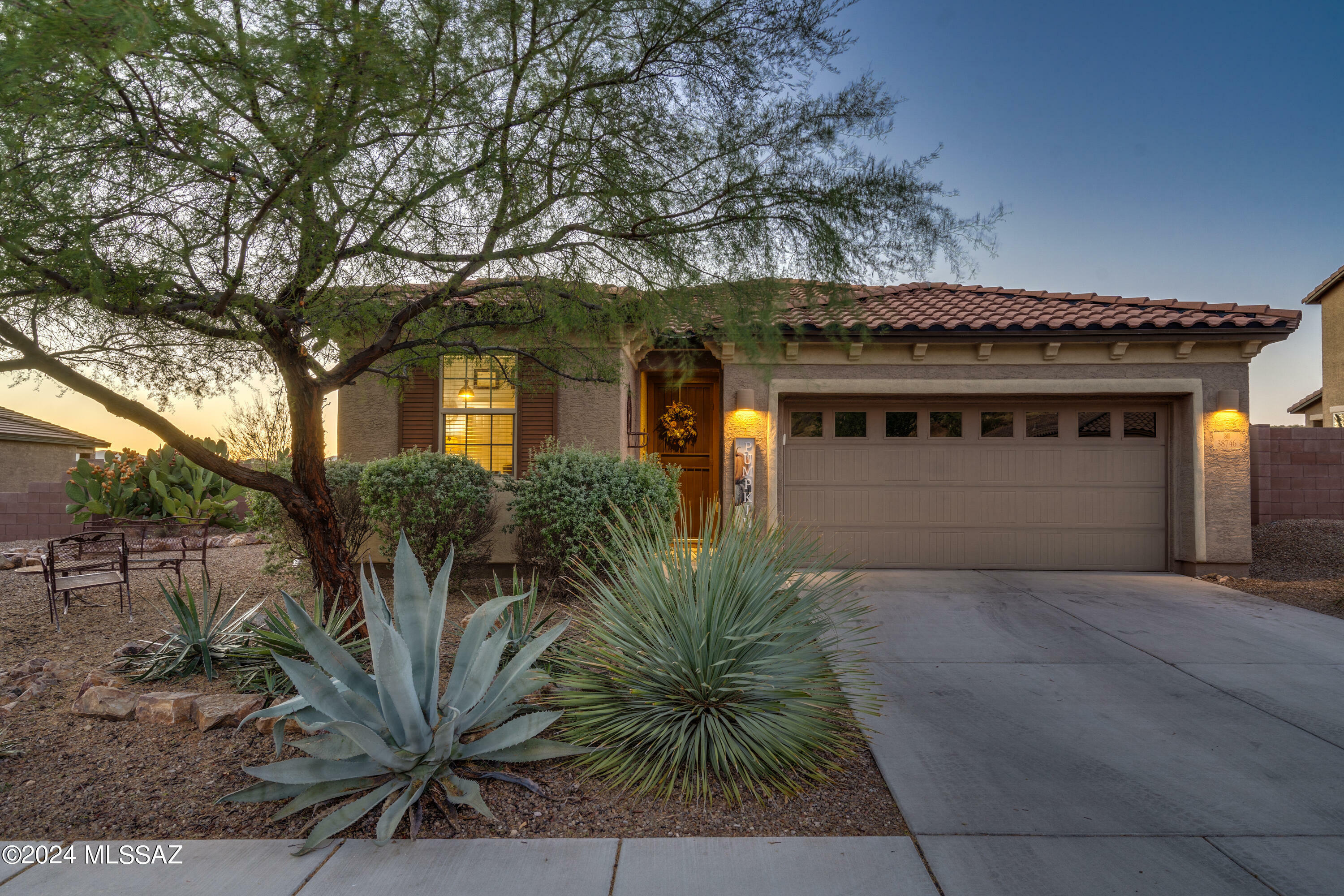 Property Photo:  38746 S Running Roses Lane  AZ 85739 