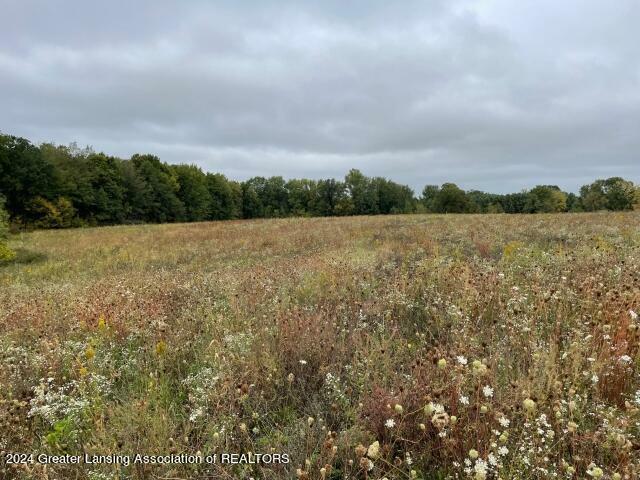 Property Photo:  1950 Bolock Highway  MI 48813 