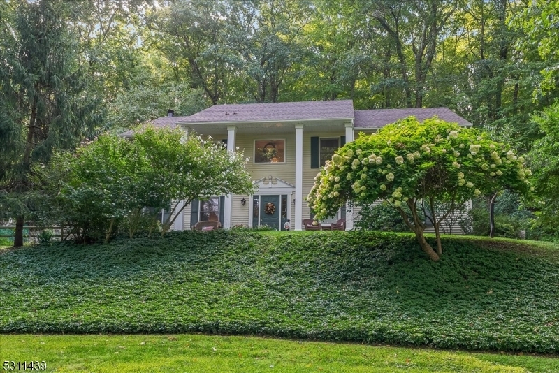 Property Photo:  265 W Valley Brook Rd  NJ 07830 