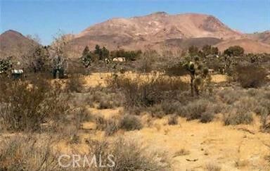 Property Photo:  7494 Mojave Tropico Rd  CA 93501 