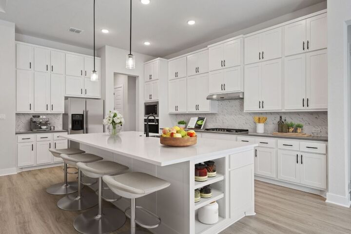 Property Photo:  4804 Destination Way  TX 78645 