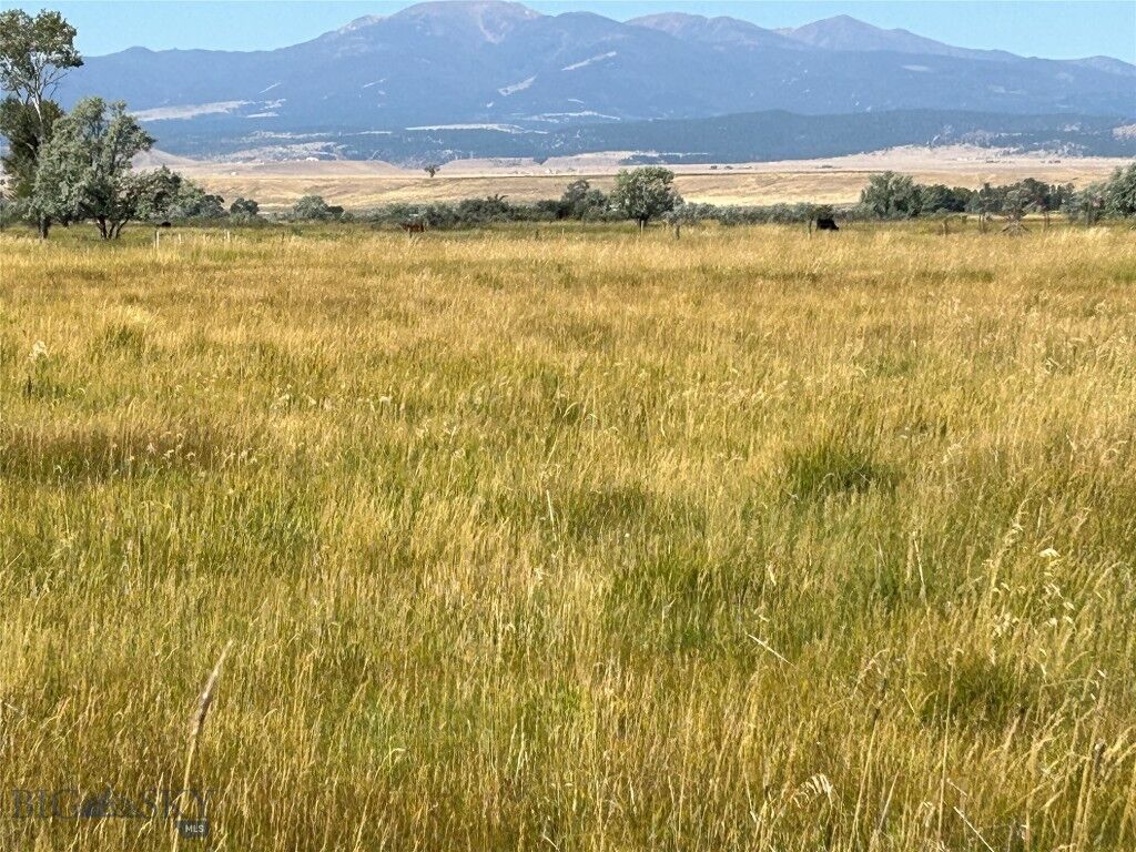 Property Photo:  130 Parrot Castle Road  MT 59759 