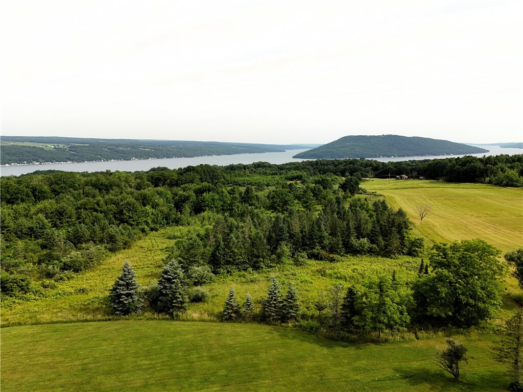 Property Photo:  O Grove Springs/ Keuka Highlands Road Road  NY 14893 