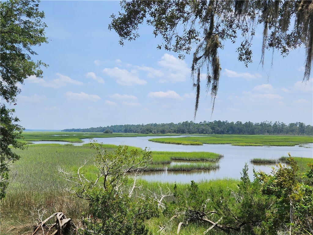 Property Photo:  5978 Harrietts Bluff Road  GA 31569 