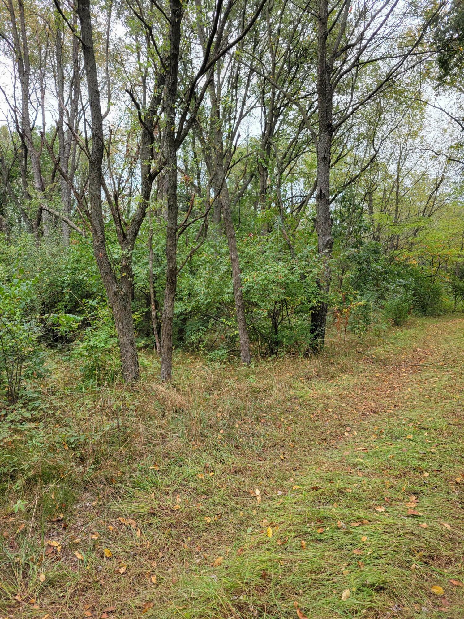 Property Photo:  Lot 3 100  IN 46349 