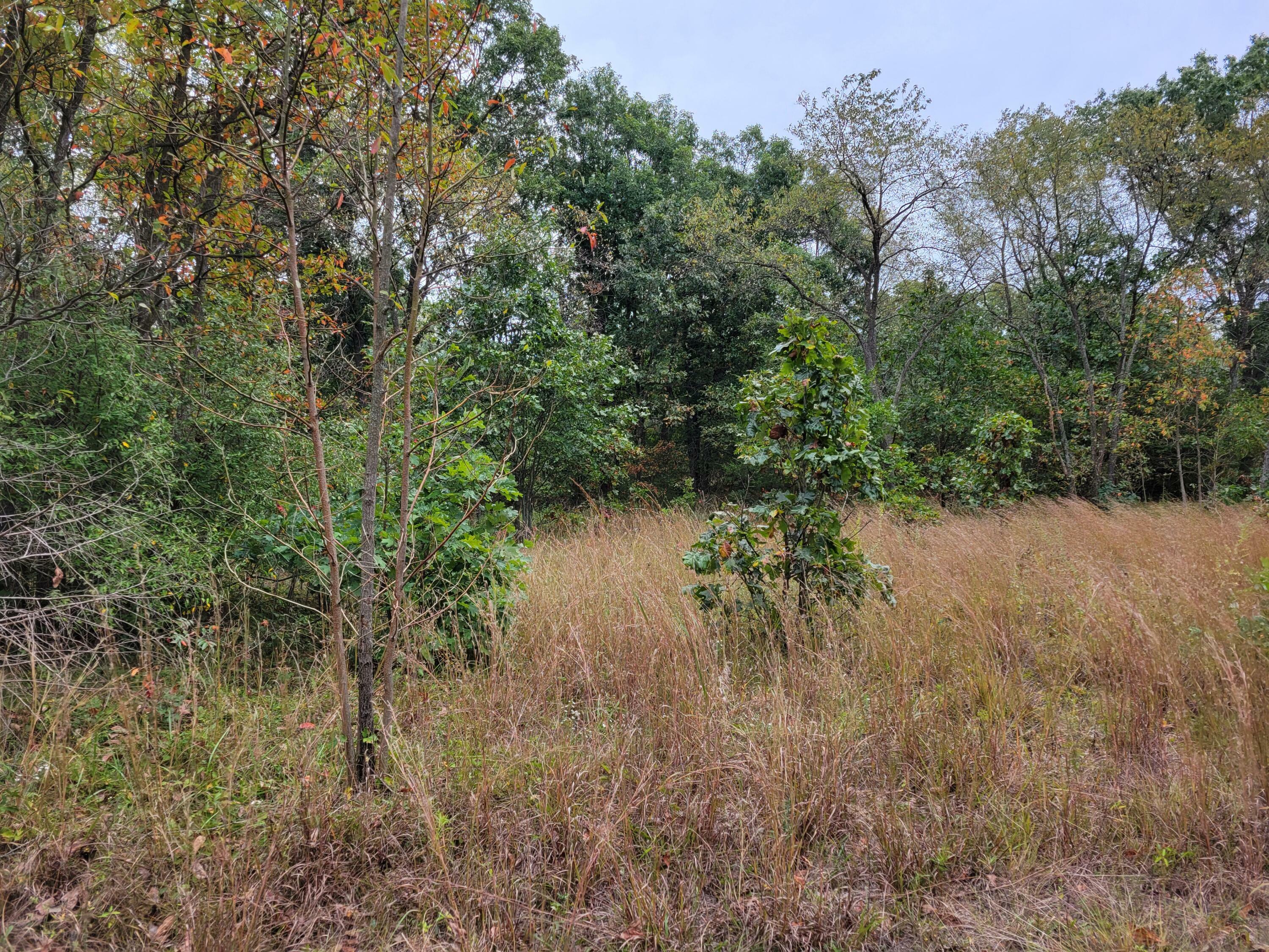 Property Photo:  Lot 2 N 100  IN 46349 