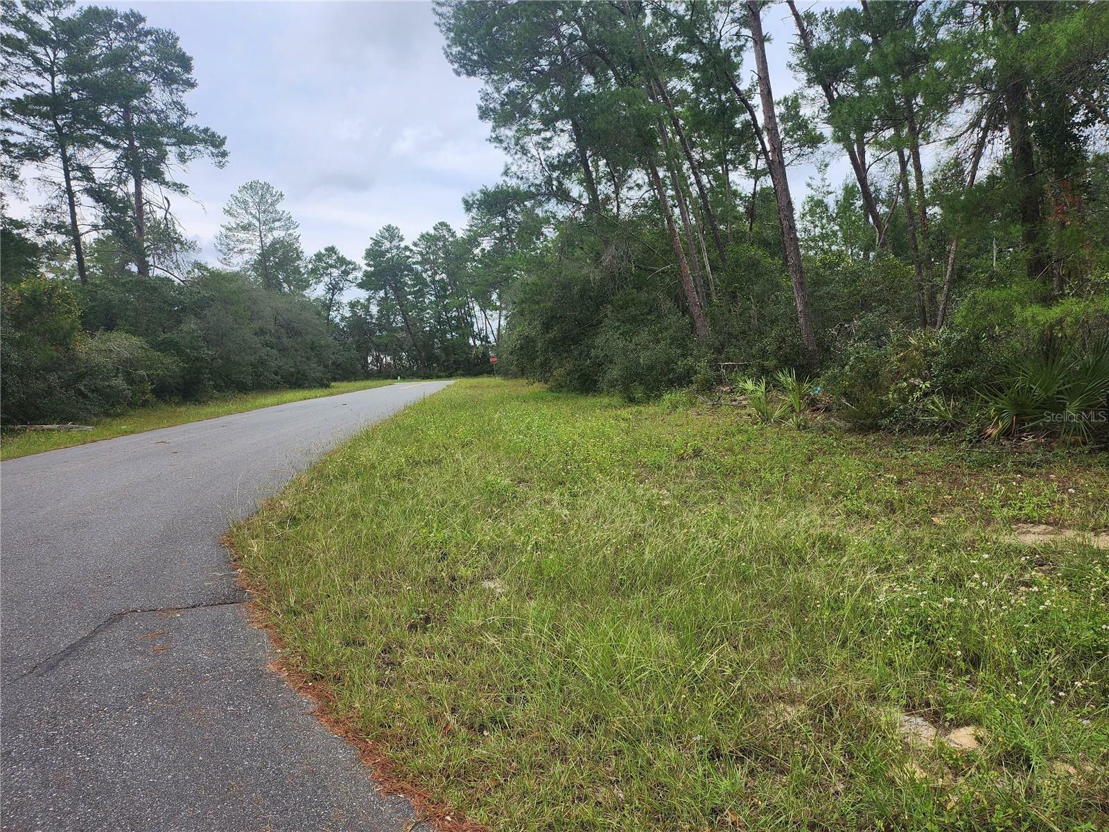 Property Photo:  Tbd SW 27th Circle  FL 34482 