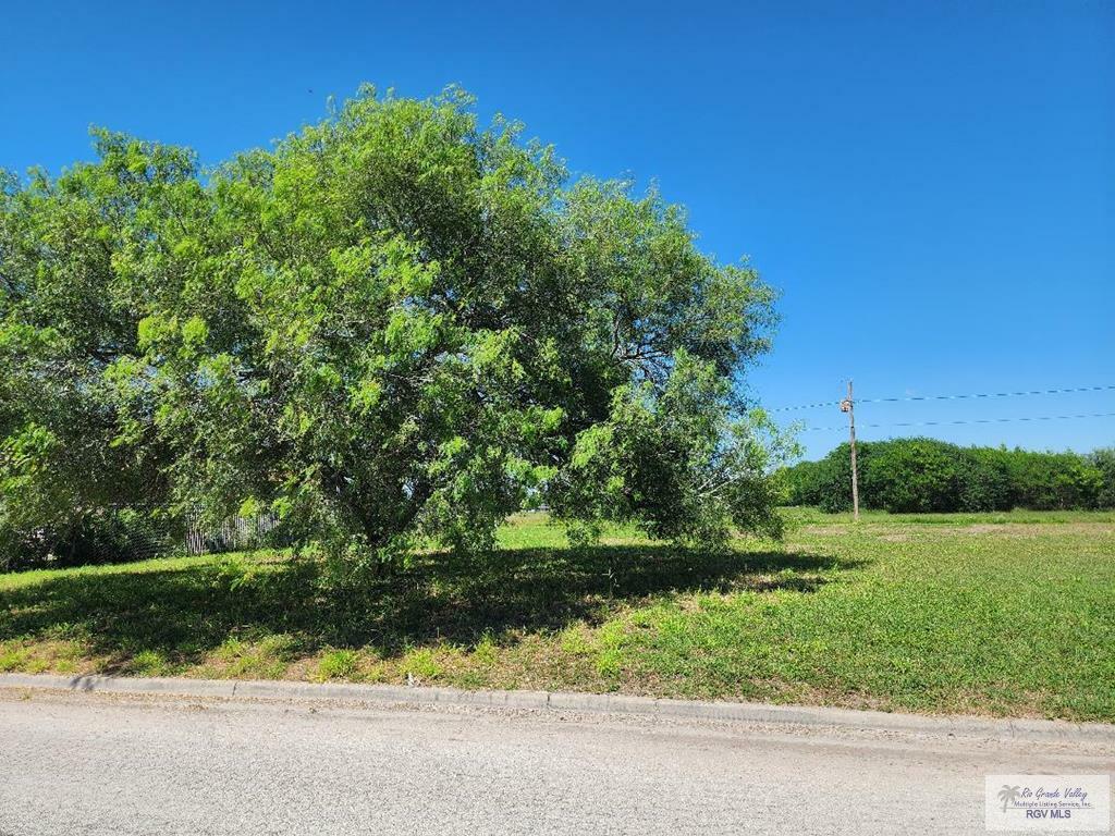 Property Photo: 0 Kika De La Garza Cir. TX 78552