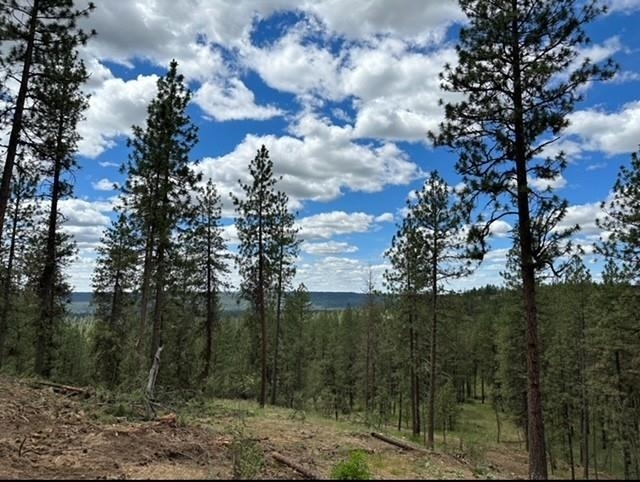 Property Photo:  Nka Weaver Way Lot D  WA 99006 