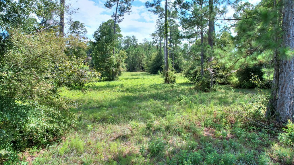 Property Photo:  Lot 10 Blk B - Swann Dr  GA 31015 