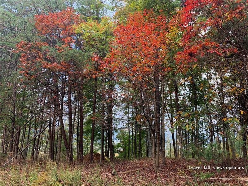 1088 Mayfield Lane NE  Ranger GA 30734 photo