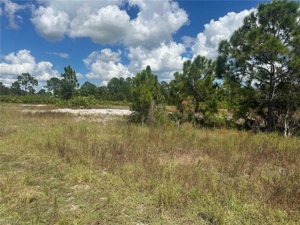 Property Photo:  655 Valley Ave S  FL 33974 