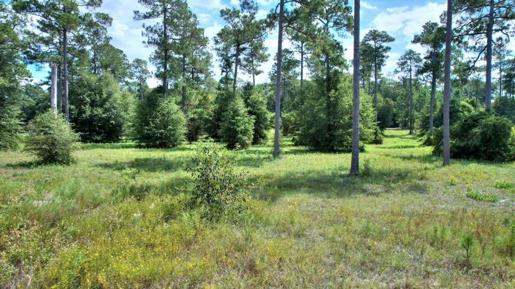 Property Photo:  Lot 47 Blk A - Swann Dr  GA 31015 