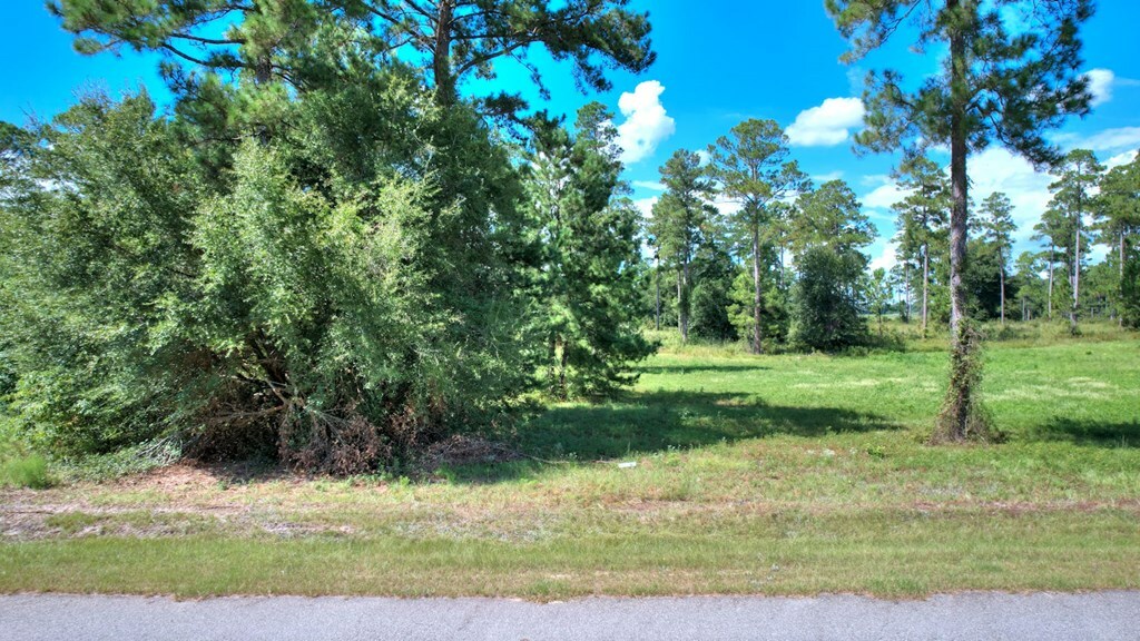 Property Photo:  Lot 12 Blk B - Swann Dr  GA 31015 