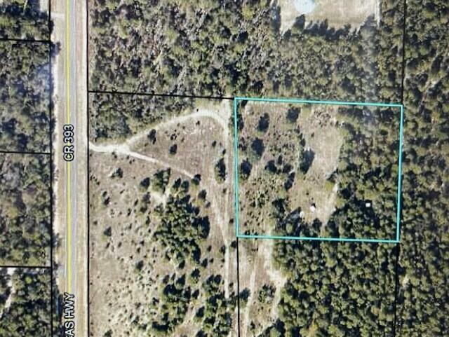 Property Photo:  Tbd 3.17 Ac Highway 393 Highway  FL 32539 