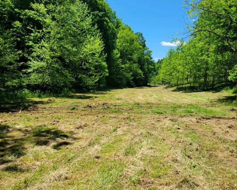 Property Photo:  0 Upper Tom'S Creek Road  WV 25559 