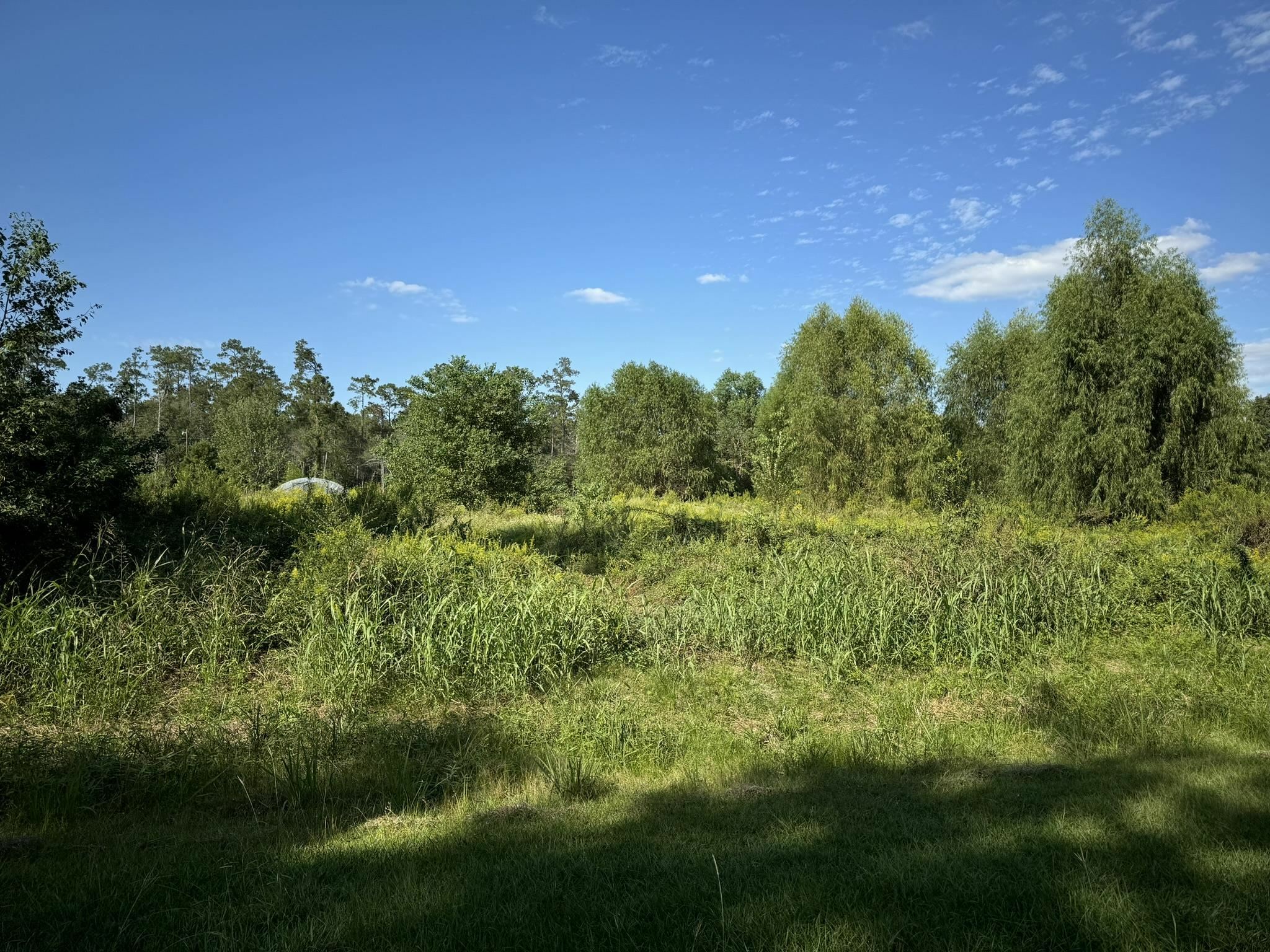 Property Photo:  Lot 73 Pine Park Blvd  TX 77632 