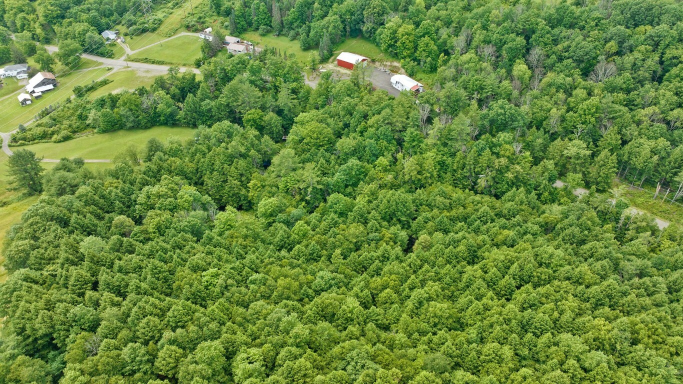 Property Photo:  2170 Bradley Creek Road  NY 13790 