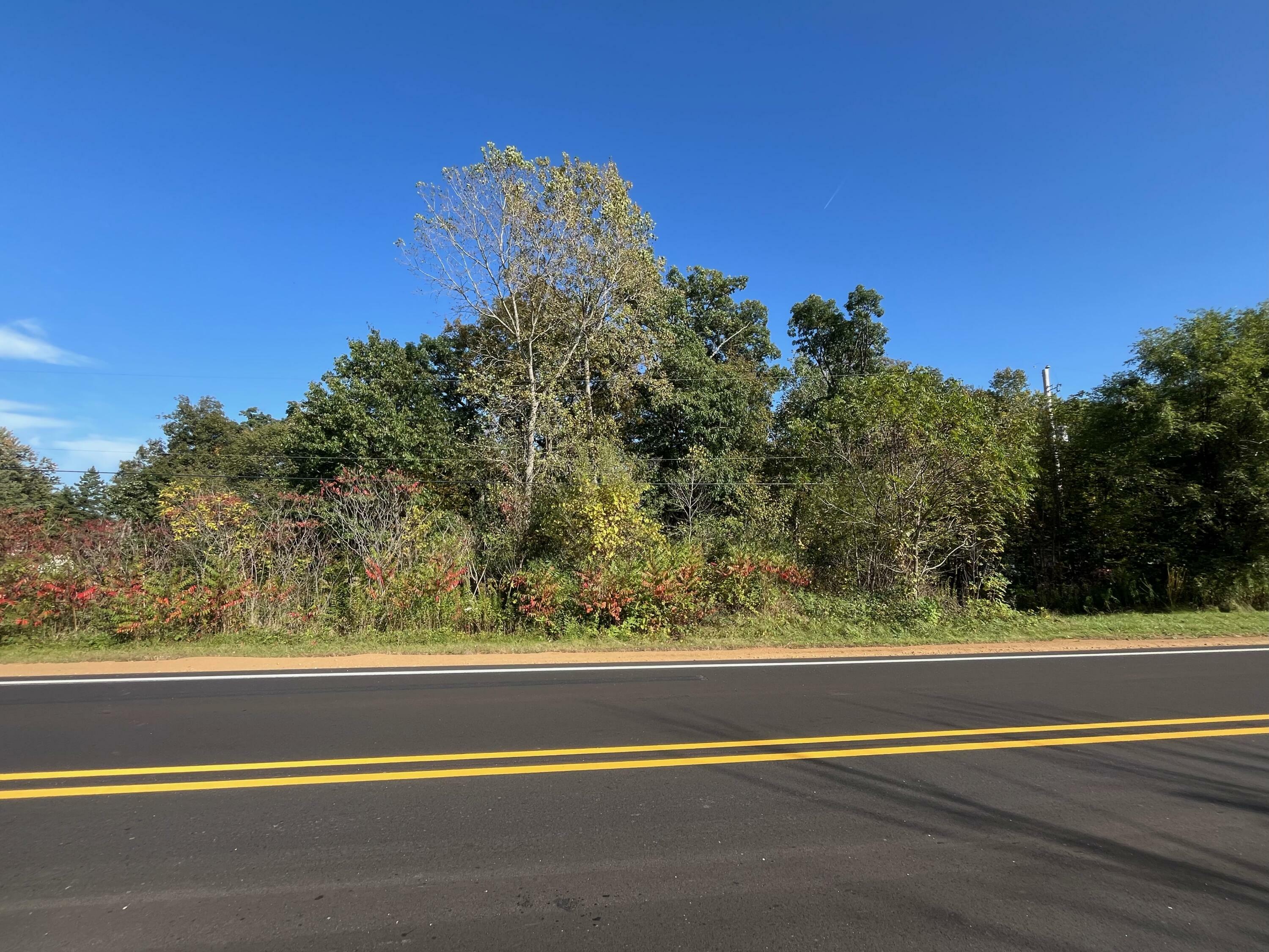 Property Photo:  Vl Morrill Road  MI 49201 