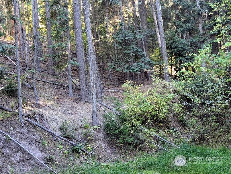 Property Photo:  0 Xx  Sawmill Road  WA 98922 