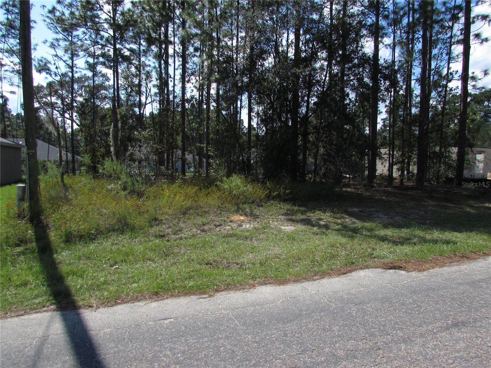 9250 N Travis Drive  Citrus Springs FL 34434 photo