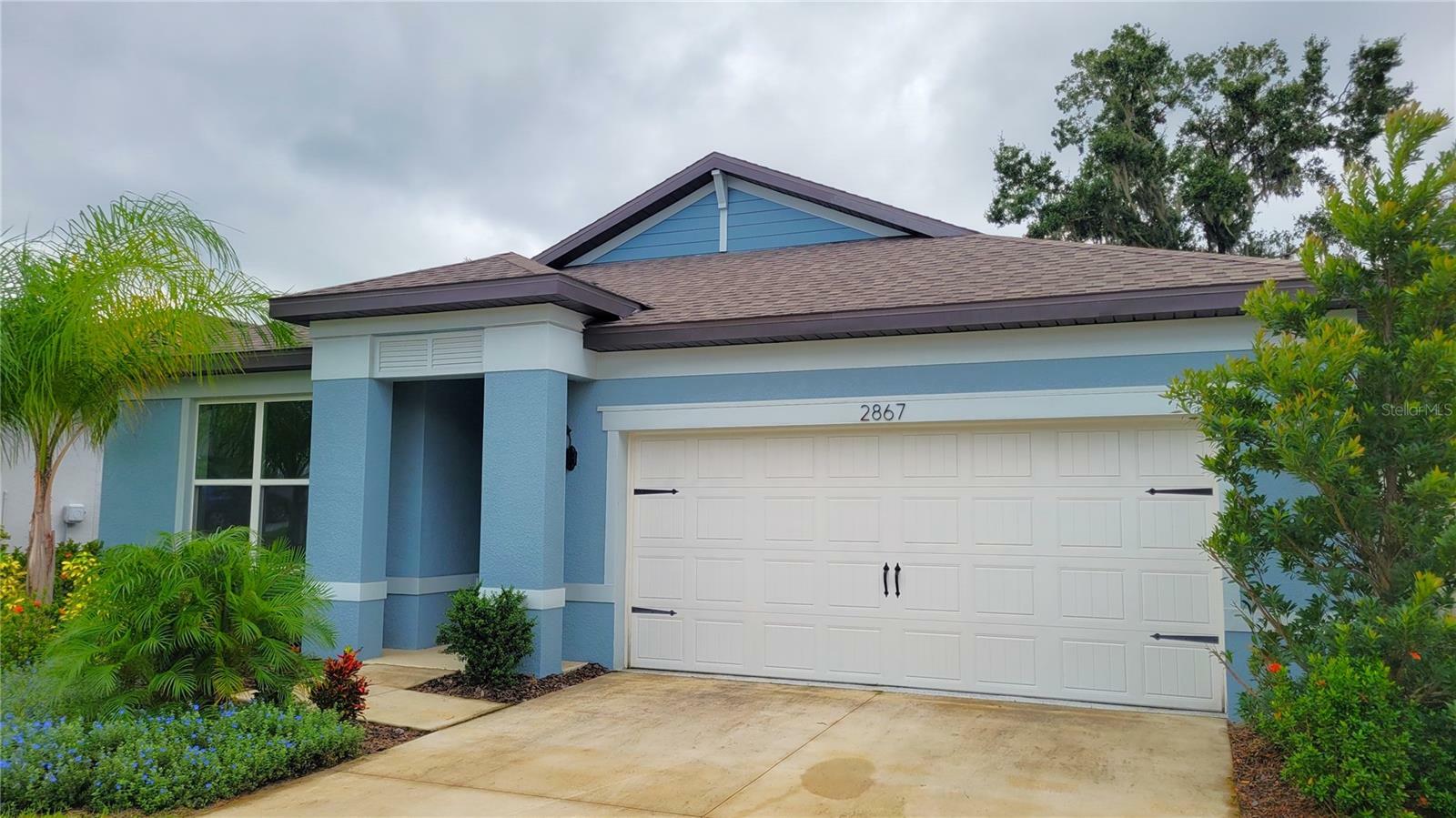 Property Photo:  2867 Dolores Home Avenue  FL 33594 