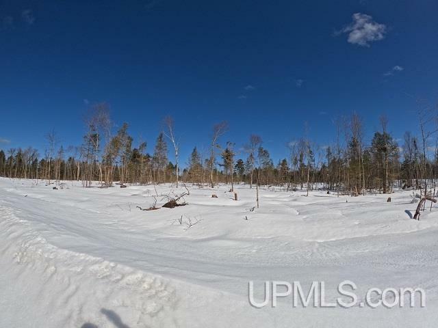 Property Photo:  120 Acres Selma Road  MI 49885 