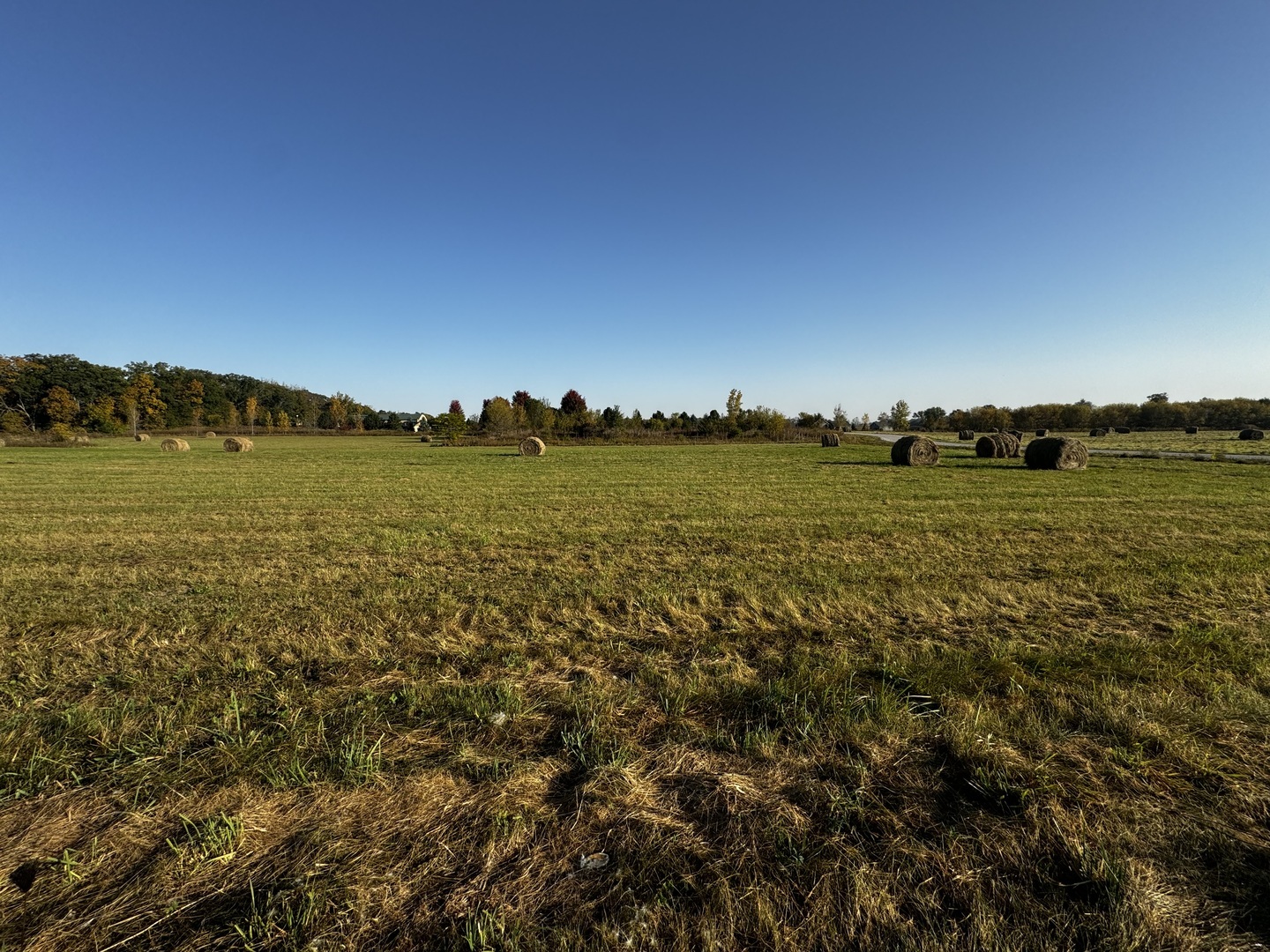 Property Photo: 18306 Loretta Drive IL 60152