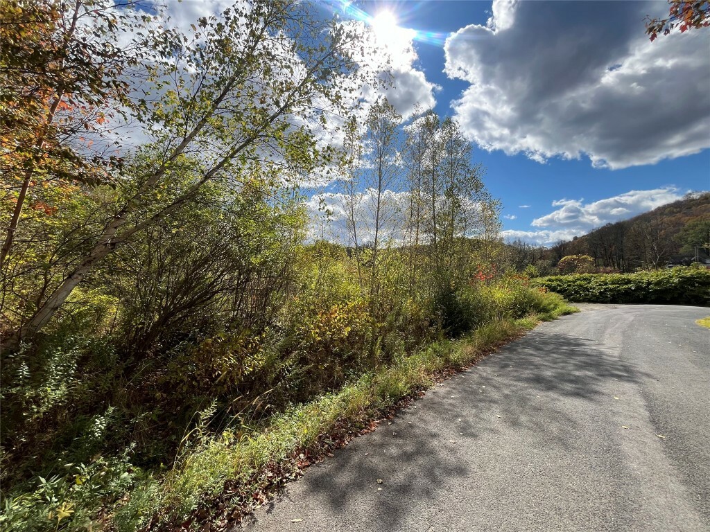 Property Photo:  295 Old Plank Road  NY 13754 