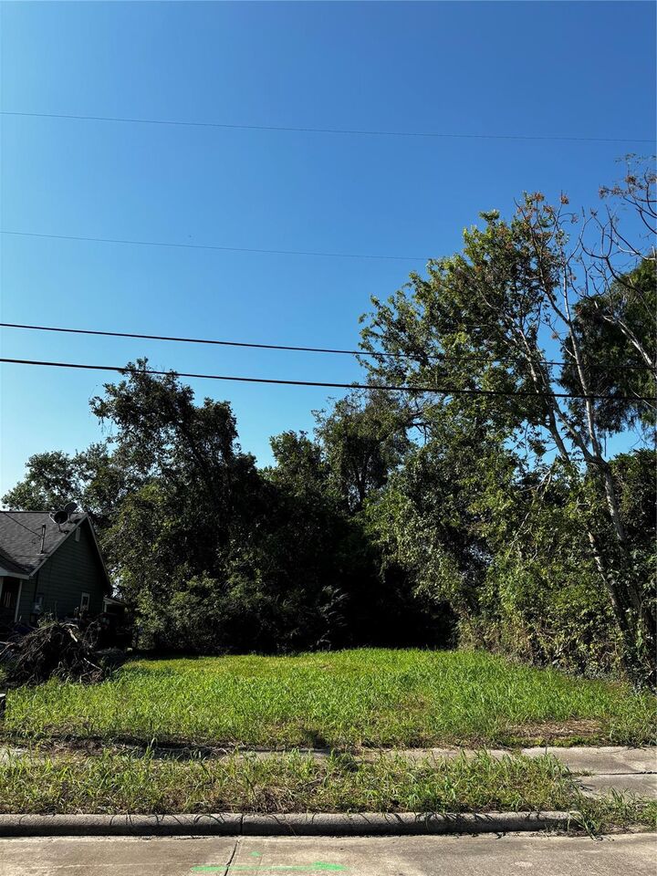 Property Photo:  317 S Fulton Street  TX 77591 