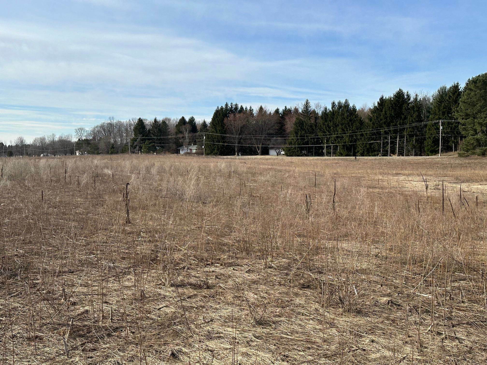 Property Photo:  Parcel F E Long Lake Road  MI 49685 