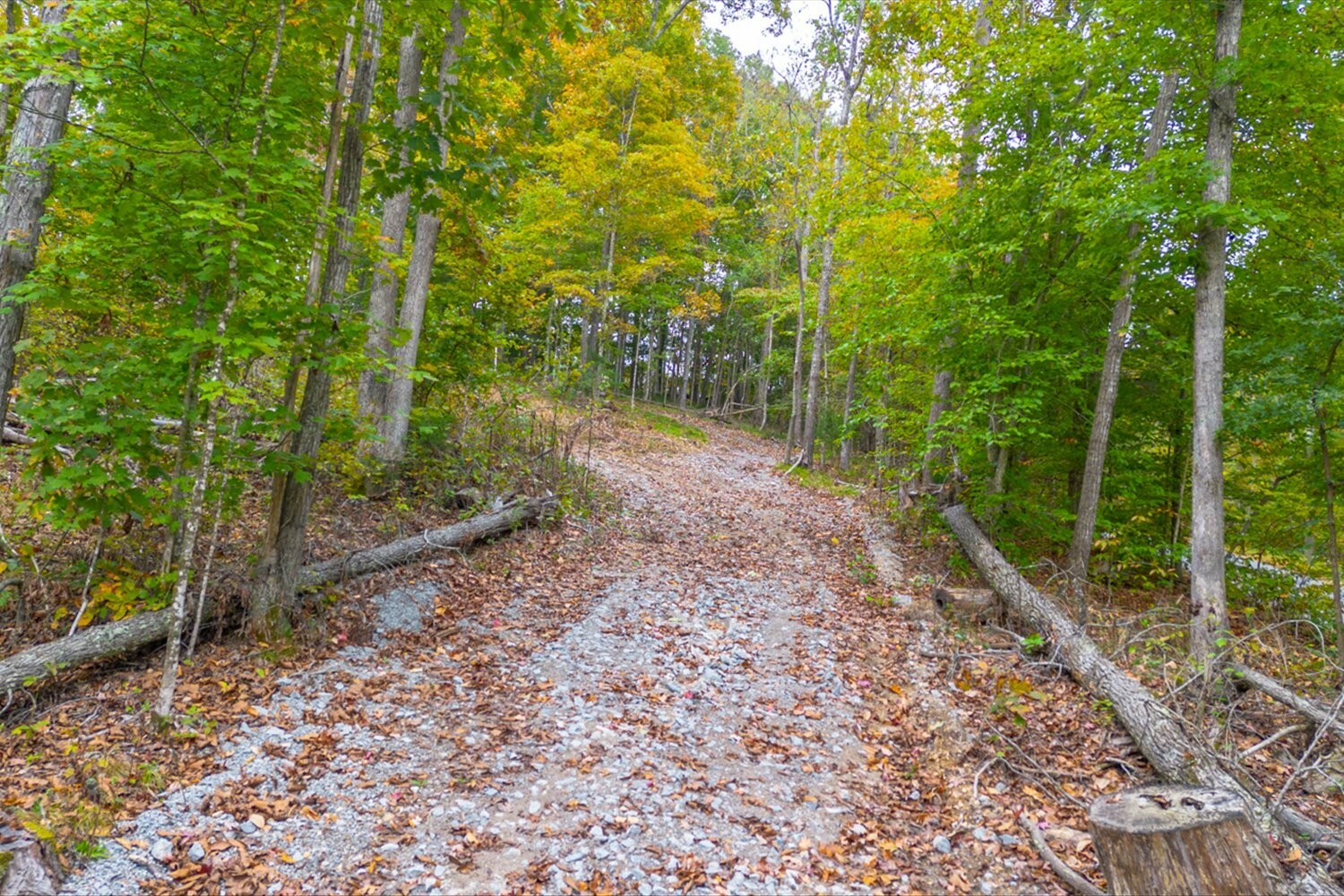 Property Photo:  0 Ross Hollow Rd  TN 37015 