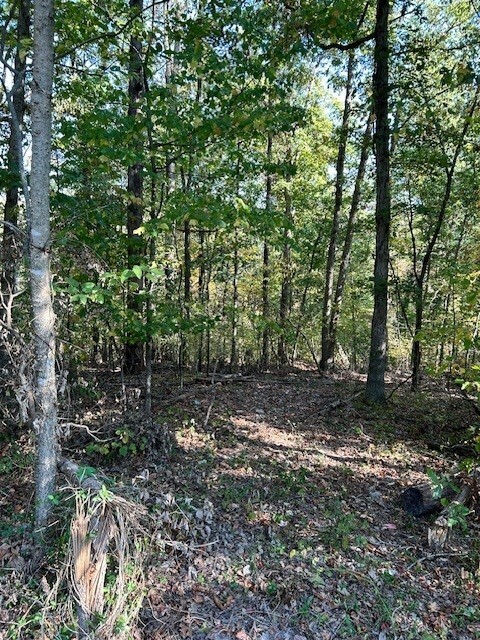 Lot 16, Block 2 Judy Drive  Bella Vista AR 72715 photo