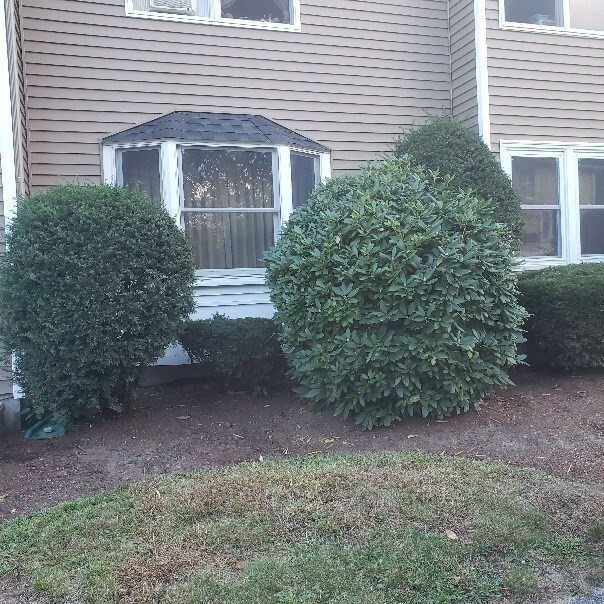 Property Photo:  306 Aiken Ave 2  MA 01850 