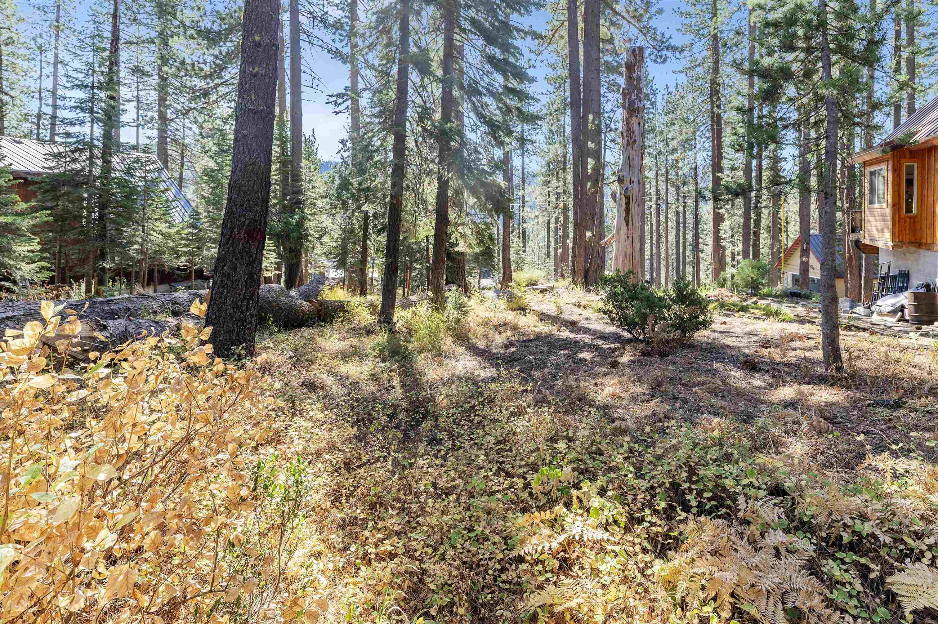 Property Photo:  51179 Jeffrey Pine Road  CA 95728 