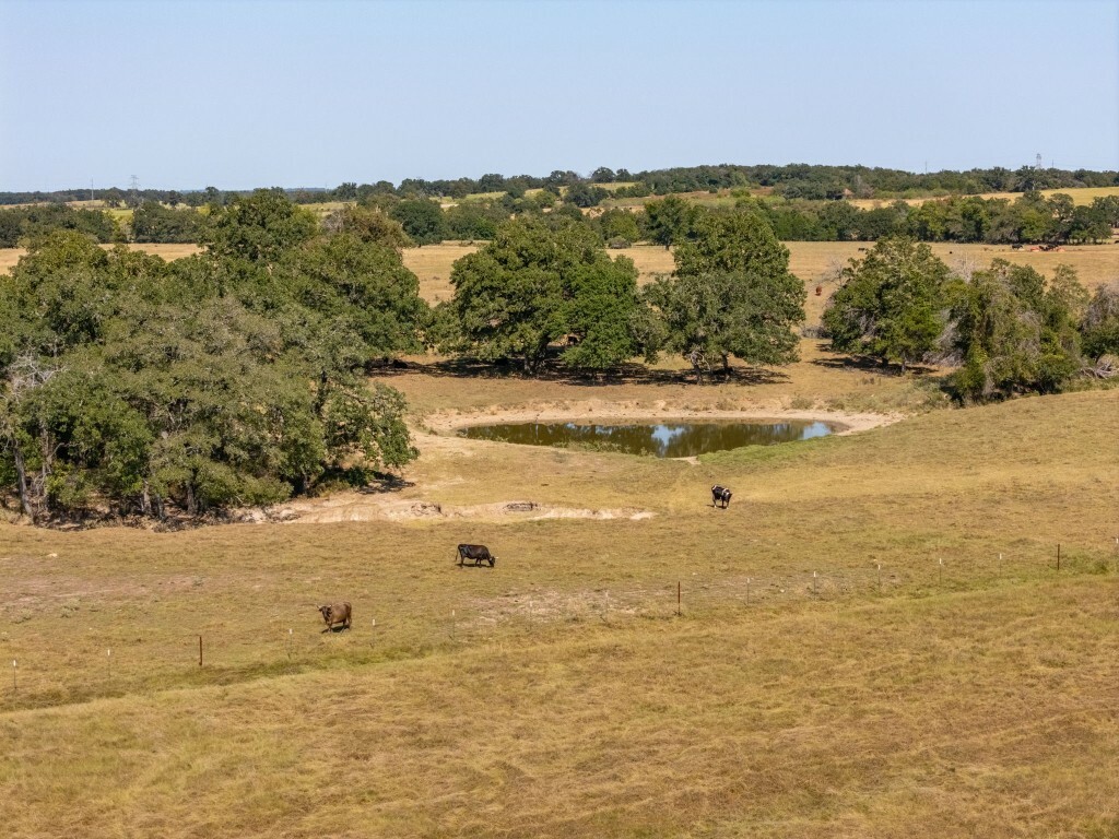 Property Photo:  1451 County Road 446 Road  TX 76567 