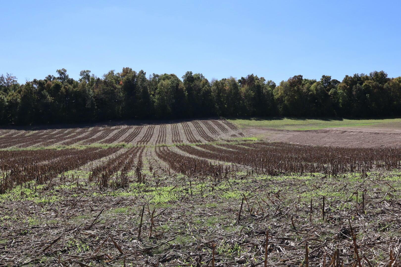 Property Photo:  0 Duncan Road SW  OH 43130 