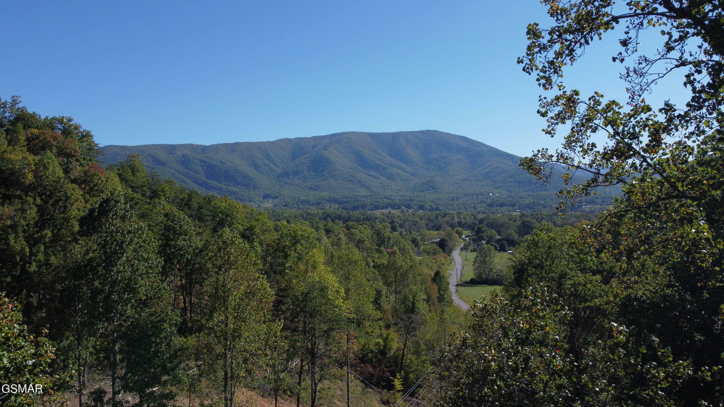 Property Photo:  Lot 22 Little Cove Rd  TN 37862 