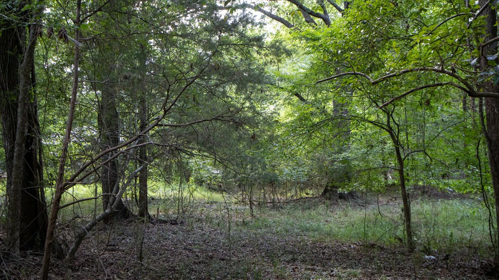 Property Photo:  0 Grant Drive Lot A  SC 29127 